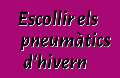 Escollir els pneumàtics d'hivern