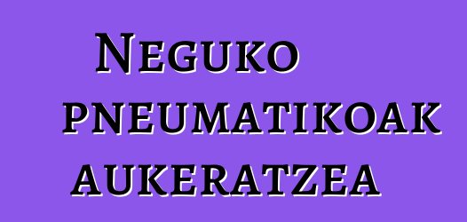 Neguko pneumatikoak aukeratzea