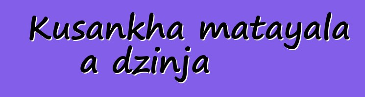 Kusankha matayala a dzinja