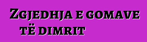 Zgjedhja e gomave të dimrit