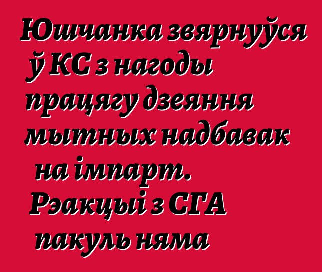 Юшчанка звярнуўся ў КС з нагоды працягу дзеяння мытных надбавак на імпарт. Рэакцыі з СГА пакуль няма