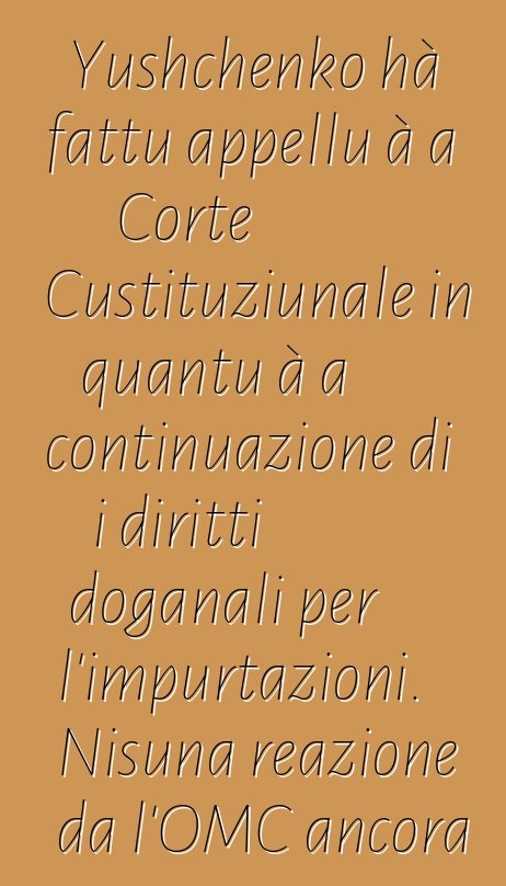 Yushchenko hà fattu appellu à a Corte Custituziunale in quantu à a continuazione di i diritti doganali per l'impurtazioni. Nisuna reazione da l'OMC ancora