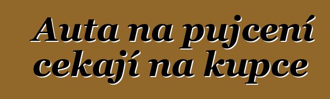 Auta na půjčení čekají na kupce