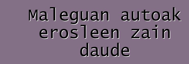 Maleguan autoak erosleen zain daude